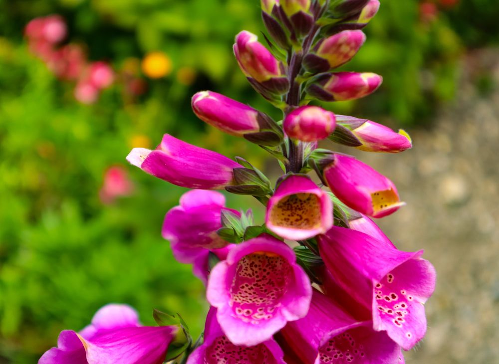 Photograph by Jorge Giol