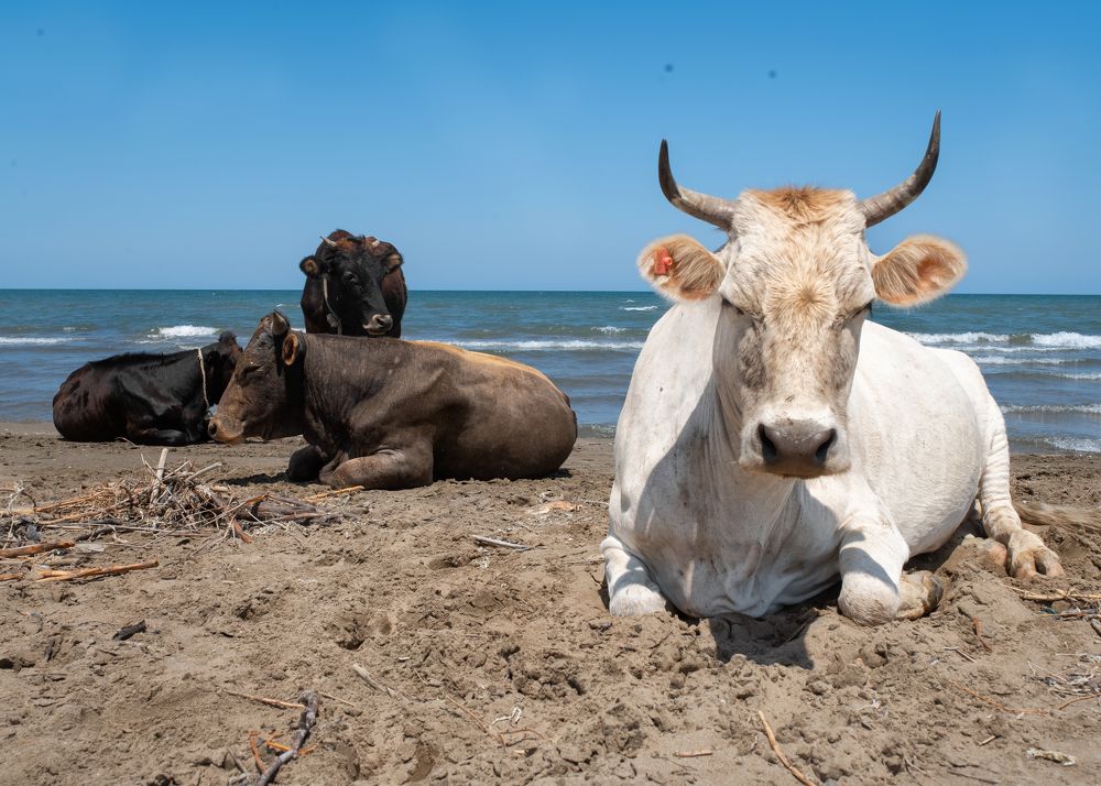 Photograph by Тамара Вотинцева