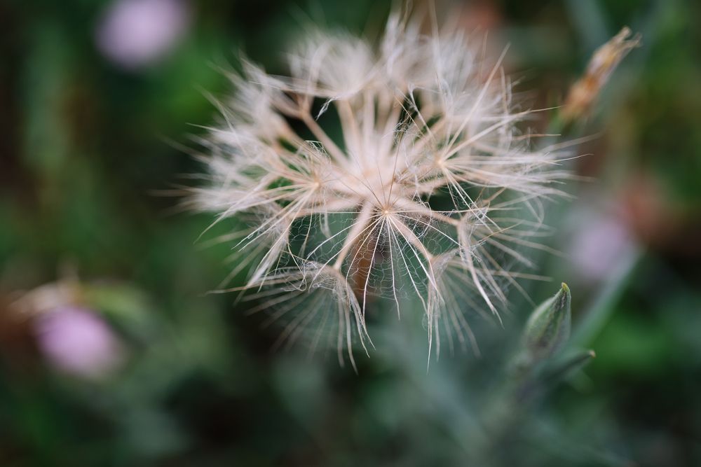 Photograph by Viktoriia Shin