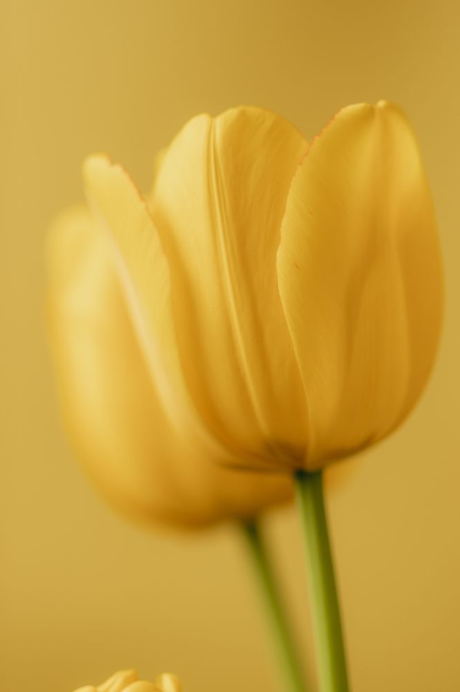 Photograph by Aída Torres