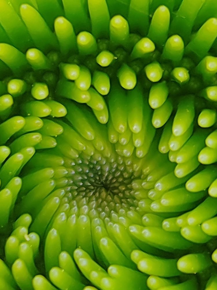 Фотография автора Татьяна Егорова