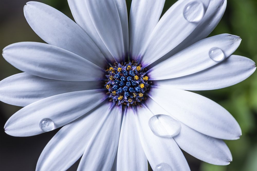 Photograph by Артыков Данил