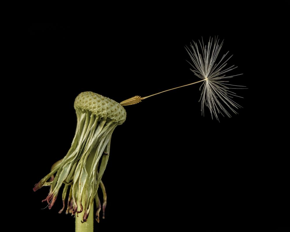 Photograph by Артыков Данил