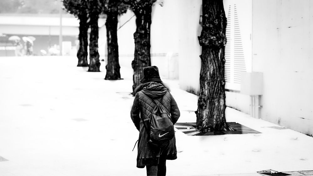 Photograph by Ascanio Fernández Pinto Urbina