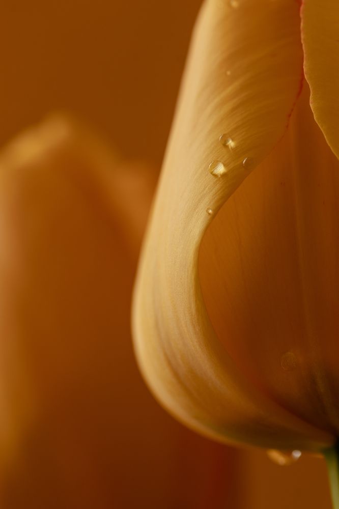 Photograph by Aída Torres