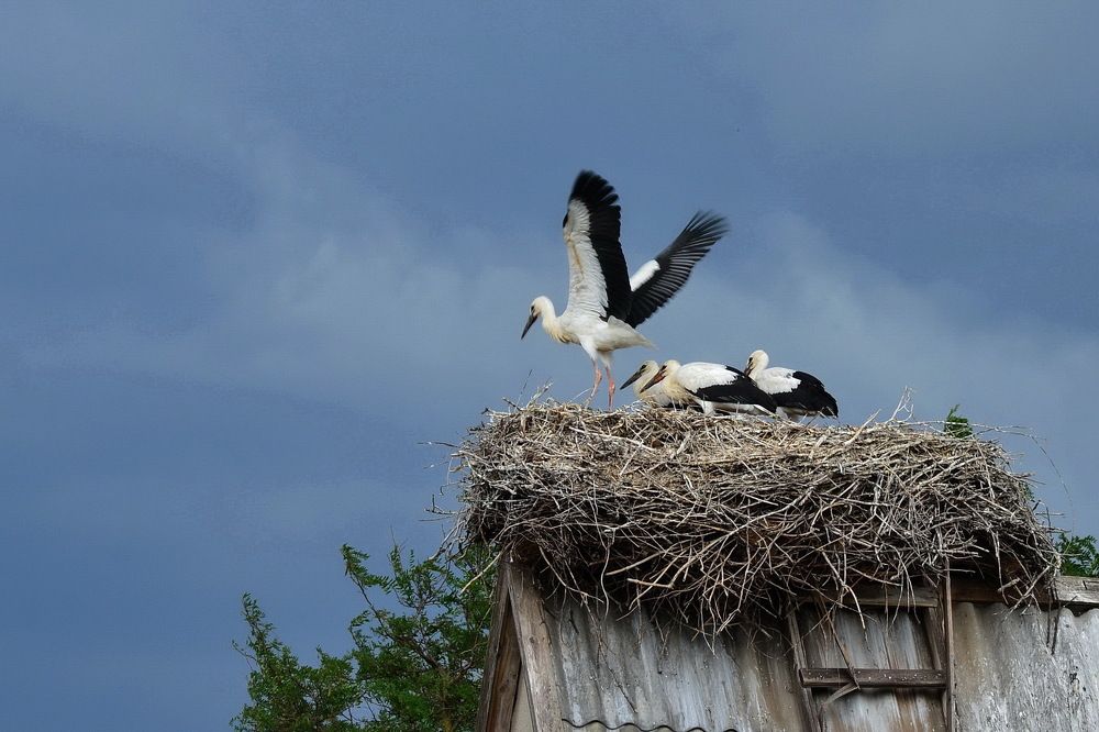 Photograph by ВЛАДИМИР Тертышник