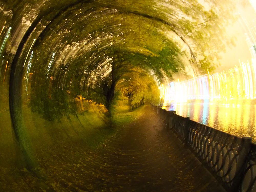 Photograph by Дмитрий Потапов