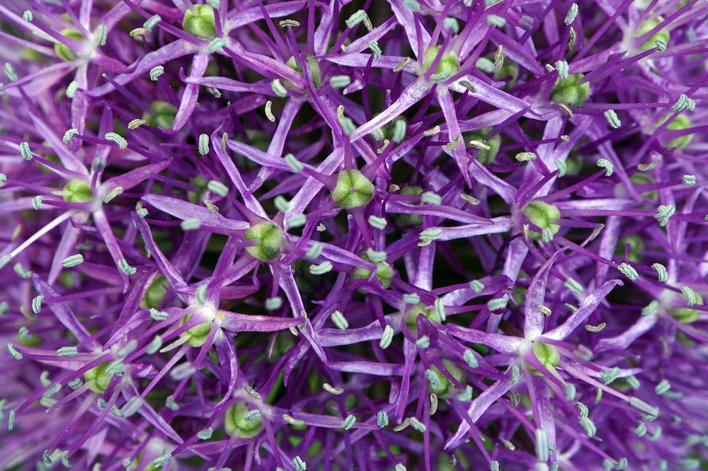 Photograph by Дмитрий Потапов