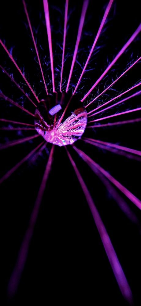 Фотография автора Mahdi Mohammadi