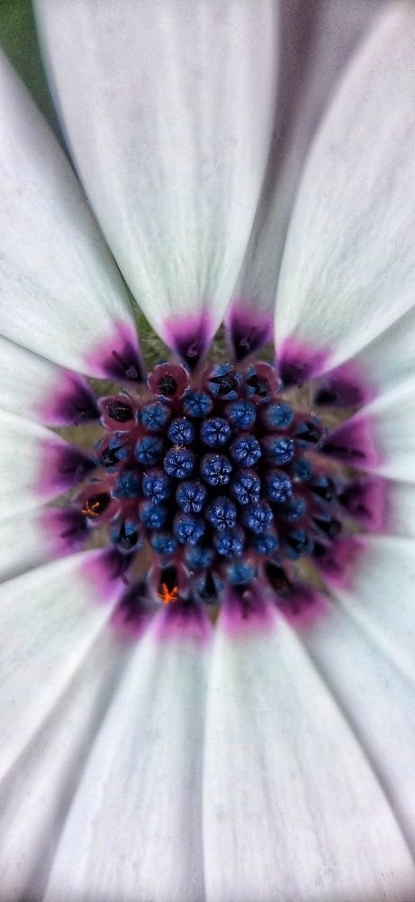 Фотография автора Mahdi Mohammadi