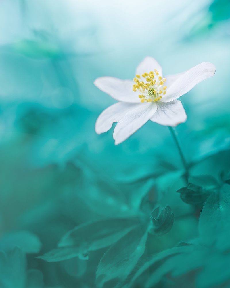 Photograph by Patryk George