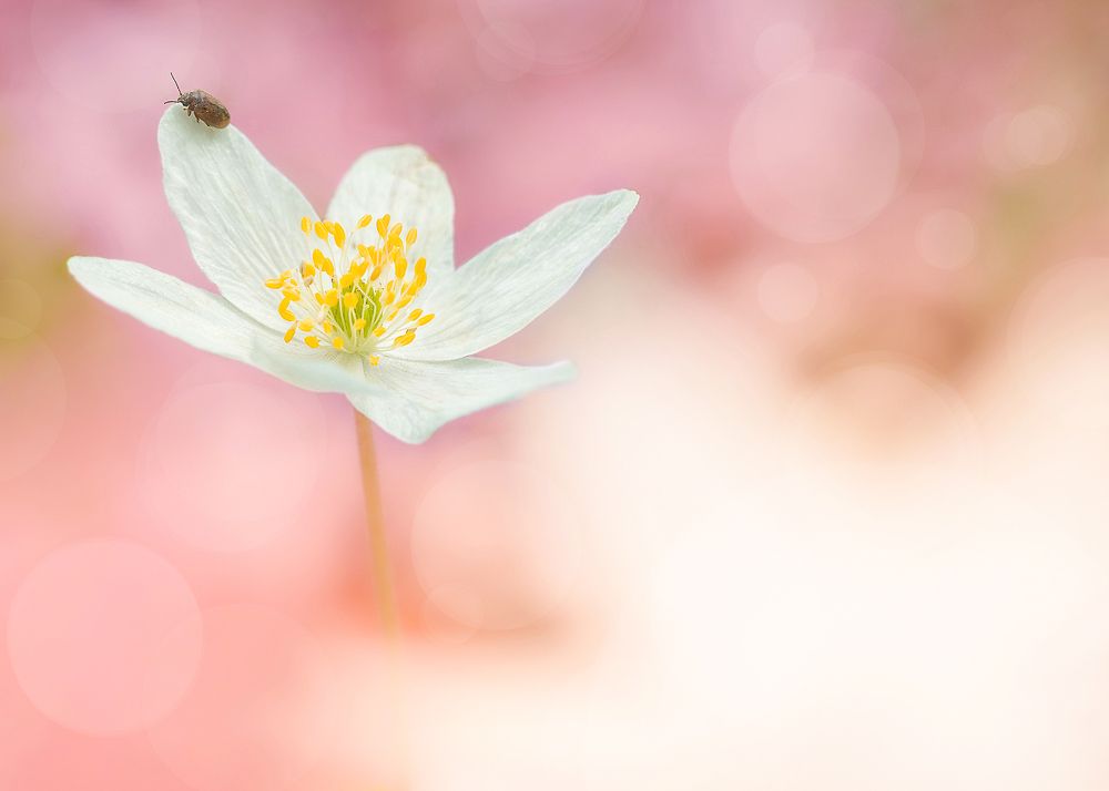 Photograph by Patryk George