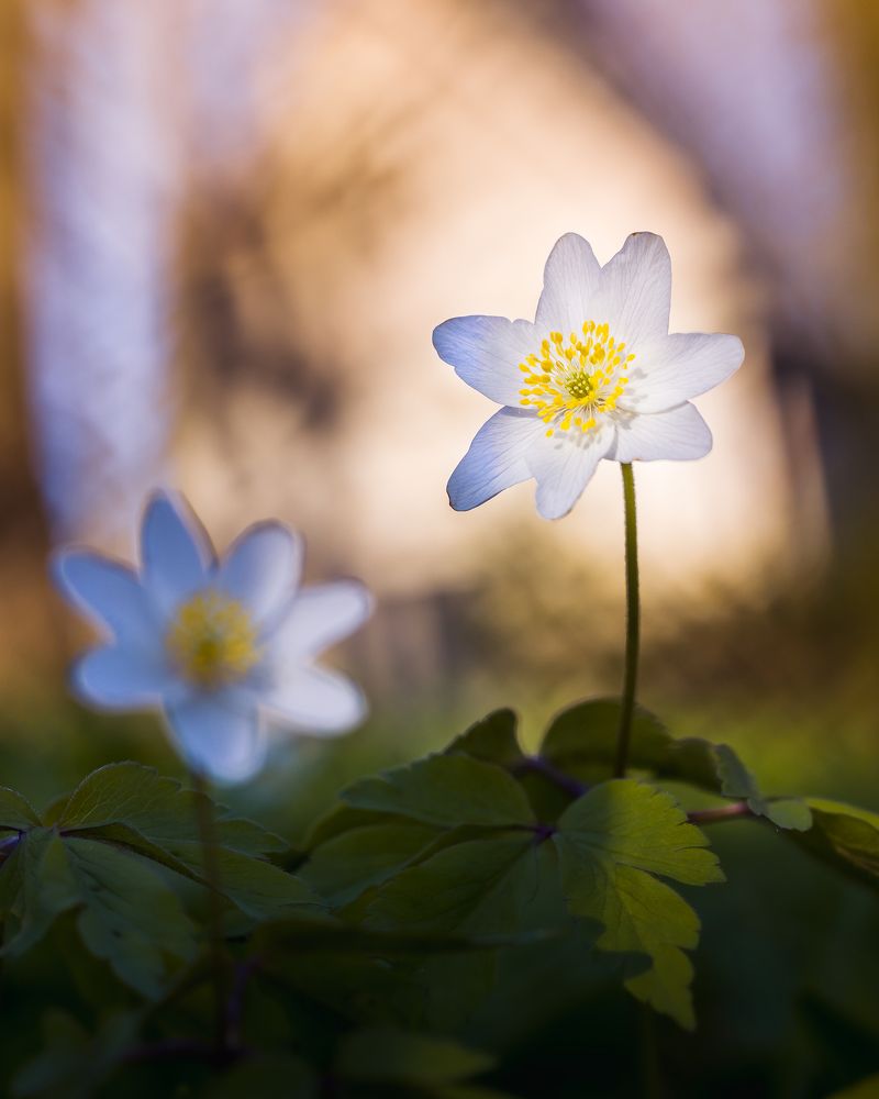 Photograph by Patryk George