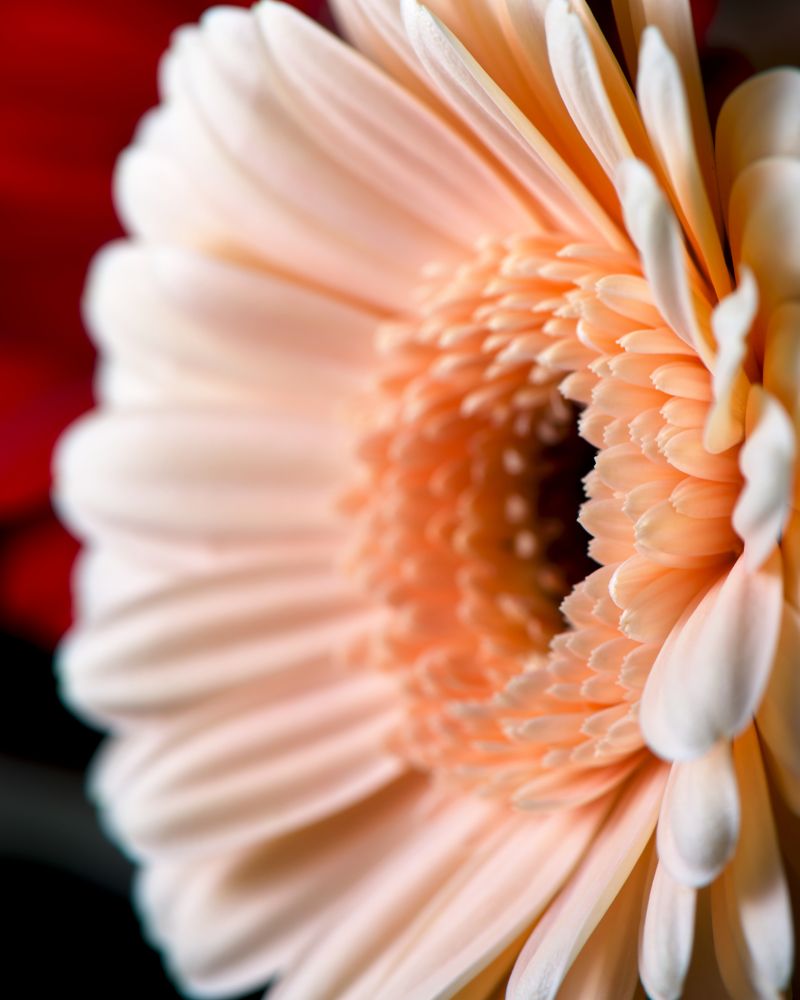 Photograph by Артыков Данил