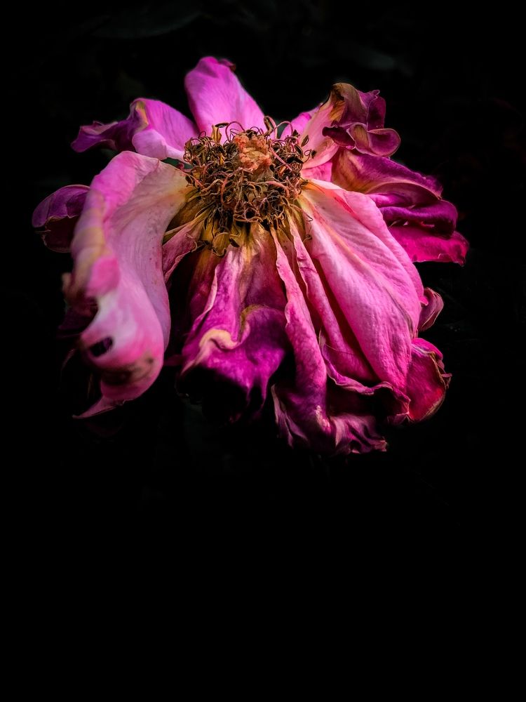 Photograph by Людмила Евстратова