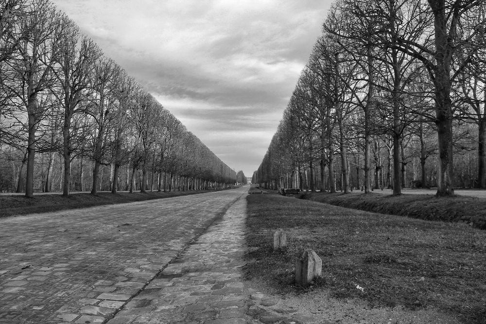 Photograph by Oleg Ы