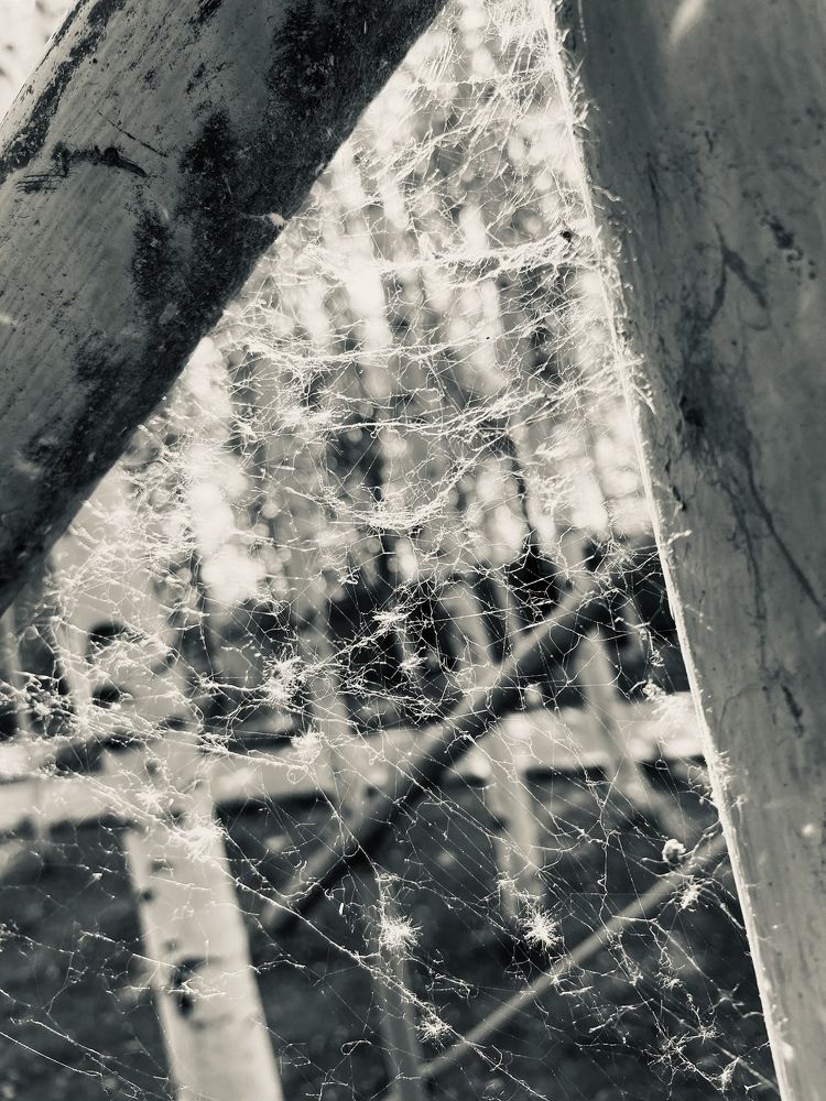 Photograph by Елена Мусина