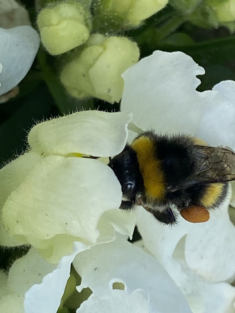 Photograph by Елена Мусина