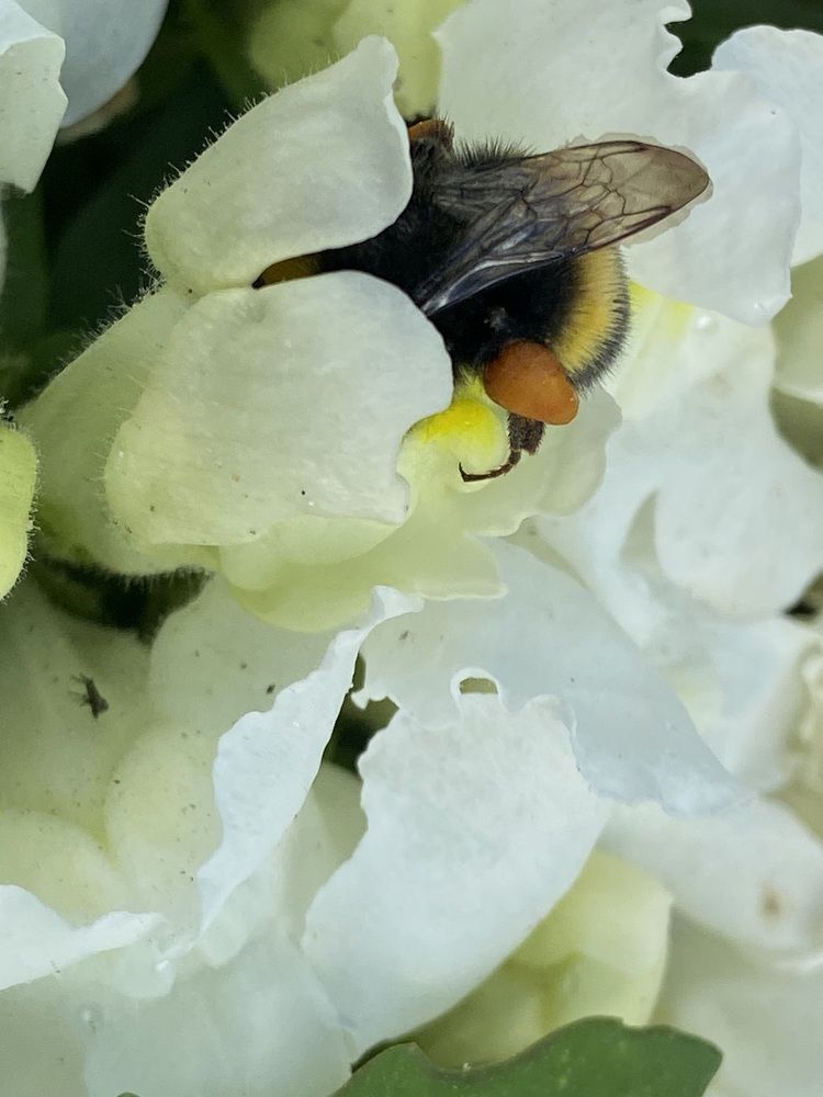 Photograph by Елена Мусина