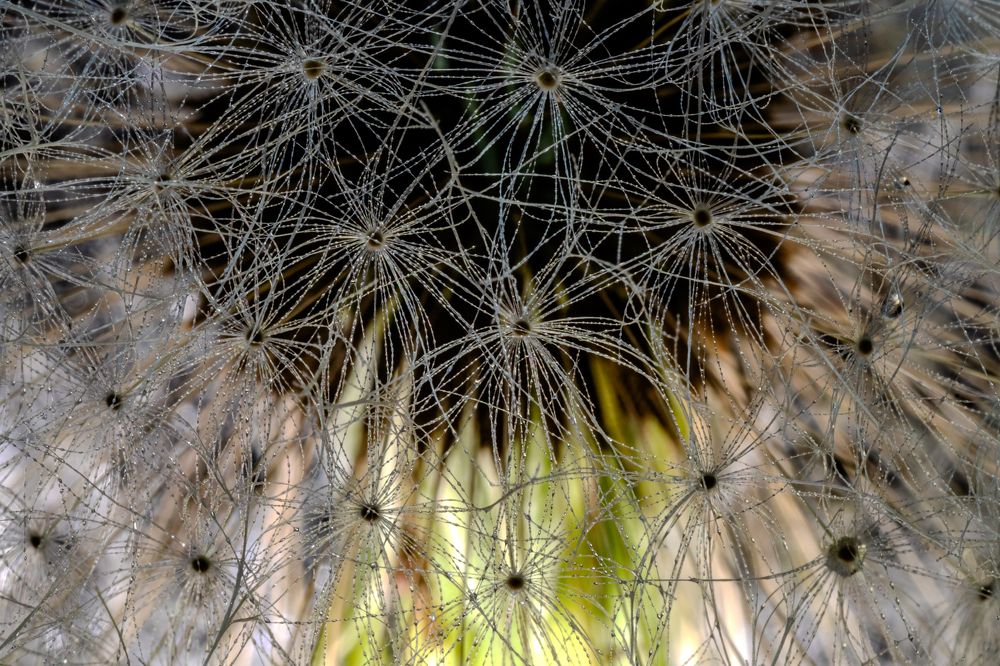 Photograph by Филипп Антонюк