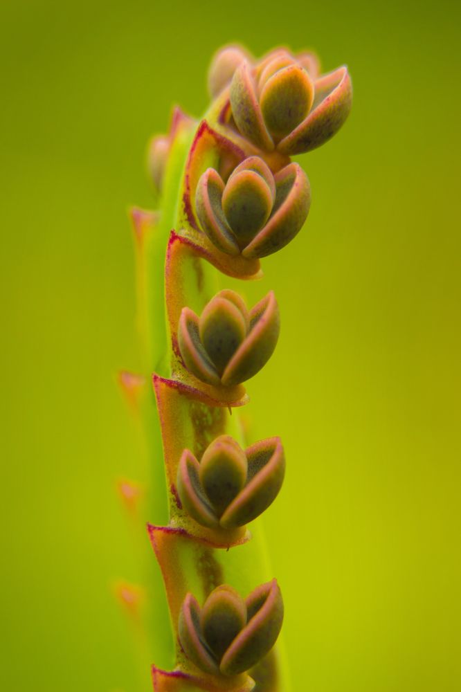 Photograph by Сапонова Марина