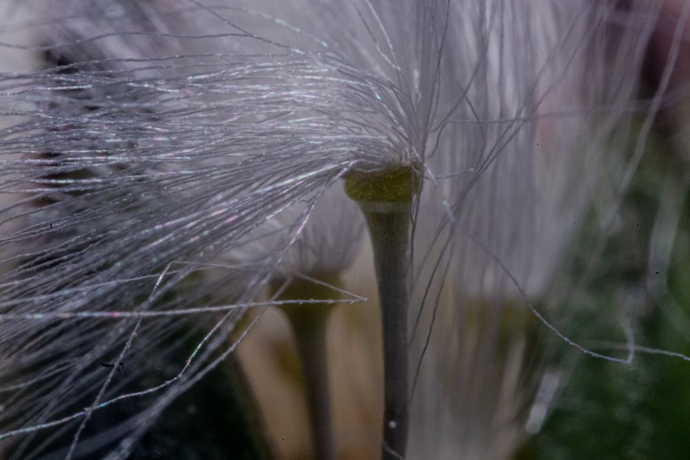 Photograph by Филипп Антонюк