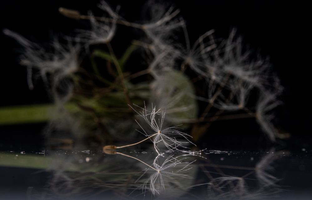 Photograph by Филипп Антонюк