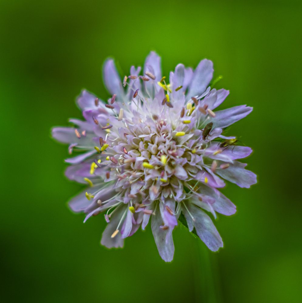 Photograph by Филипп Антонюк