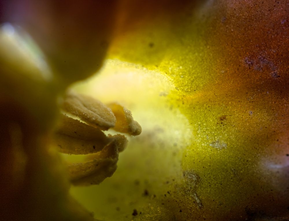 Photograph by Филипп Антонюк