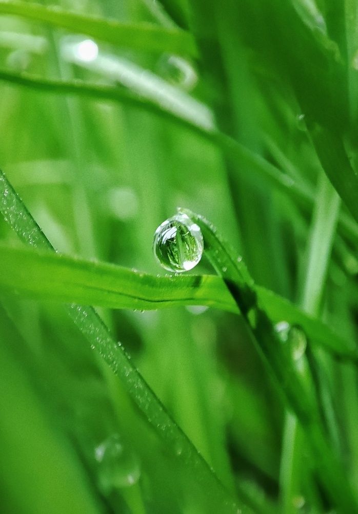 Photograph by Дина Желанова