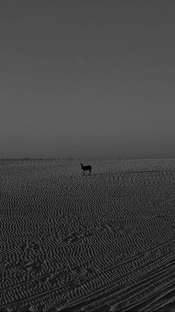Alone...again