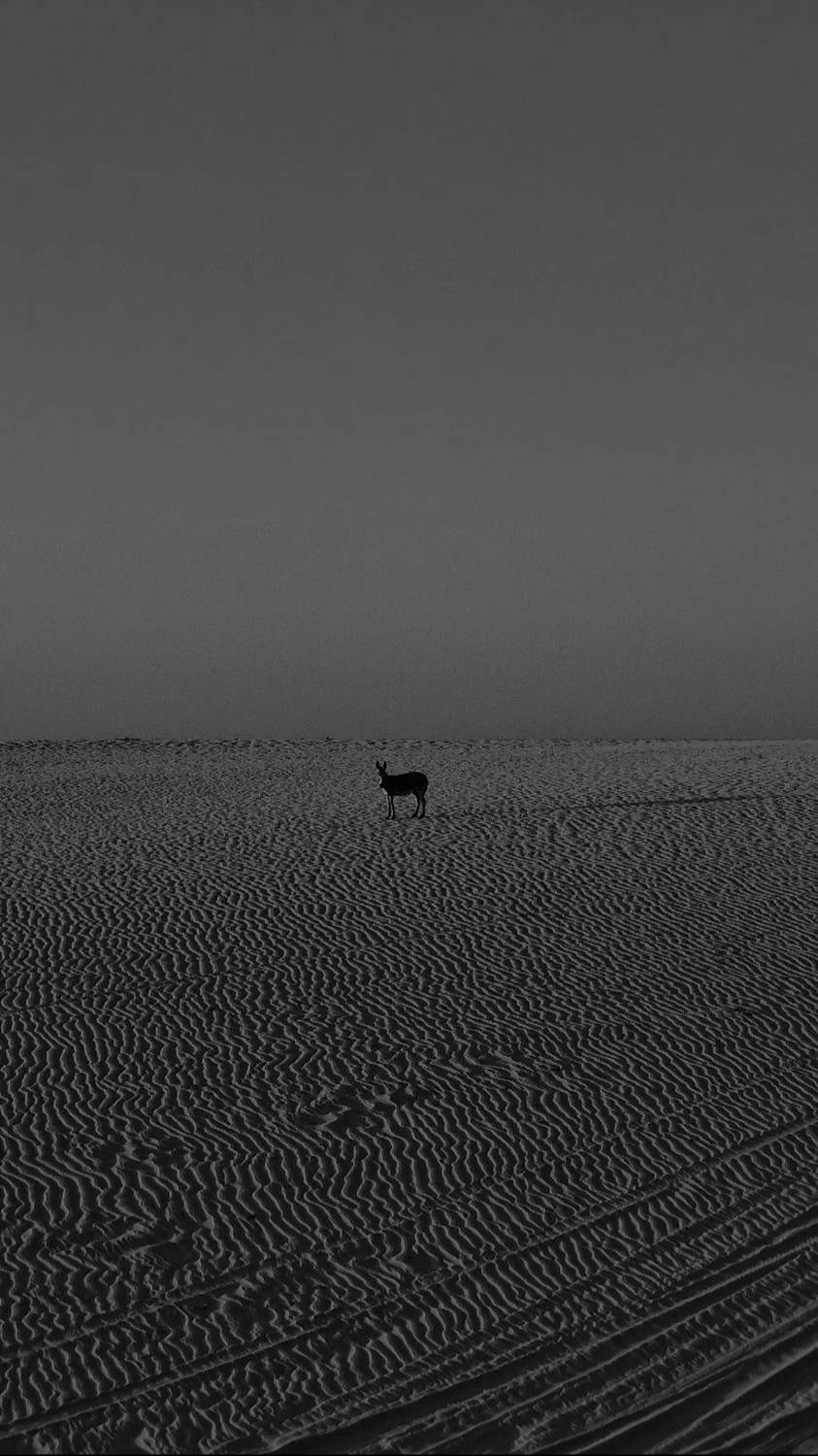 Alone...again