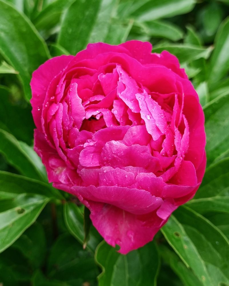 Photograph by Наталья Соколова