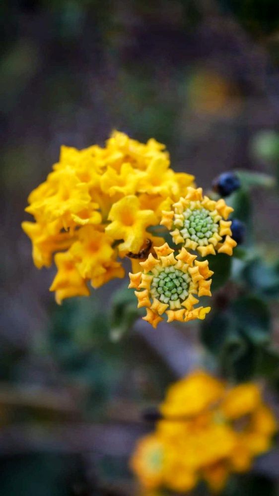 Photograph by Rajaa Shatnawi