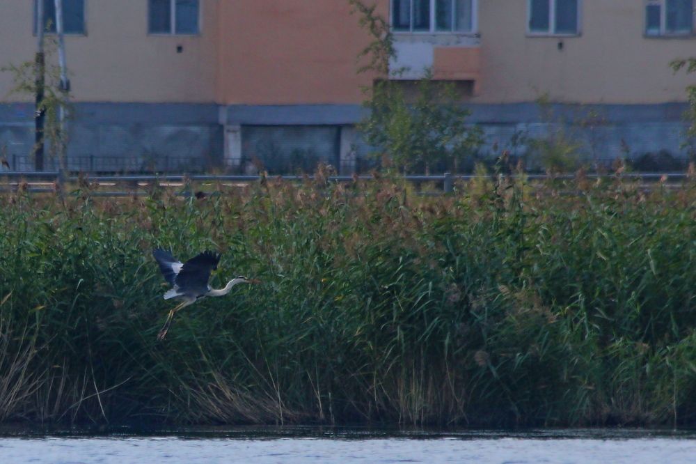 Photograph by Александр Велигура