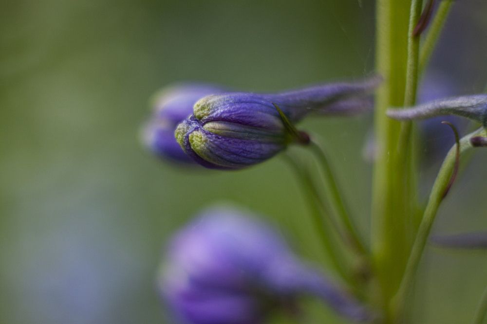 Photograph by Владислав Капанов
