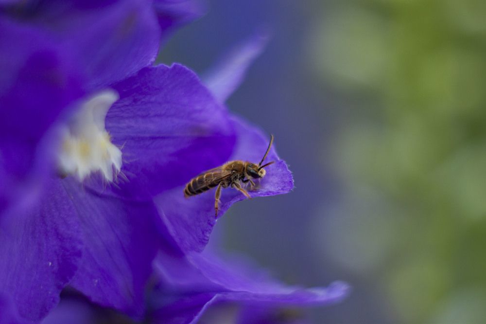 Photograph by Владислав Капанов