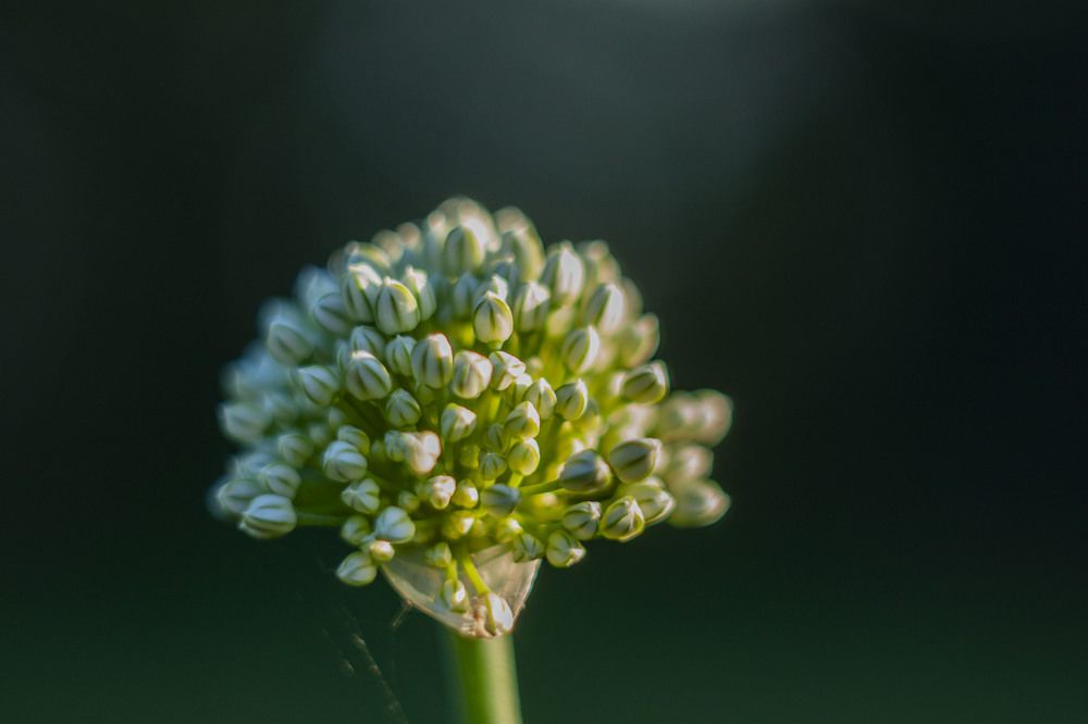 Photograph by Владислав Капанов