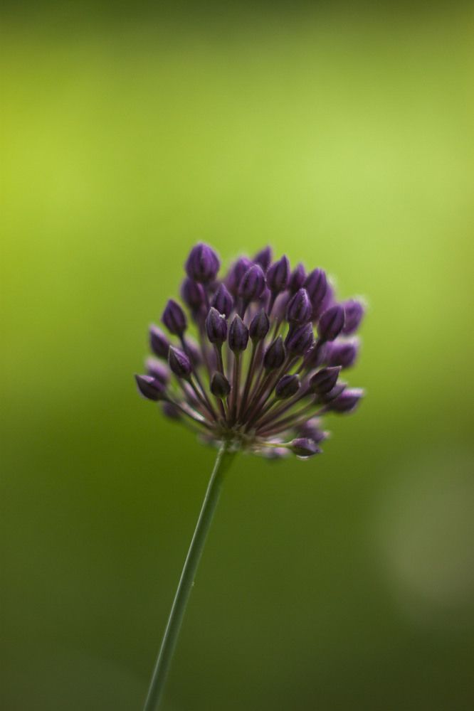 Photograph by Владислав Капанов