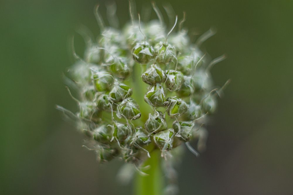 Photograph by Владислав Капанов