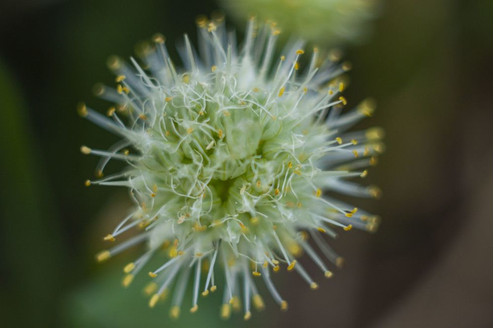 Photograph by Владислав Капанов