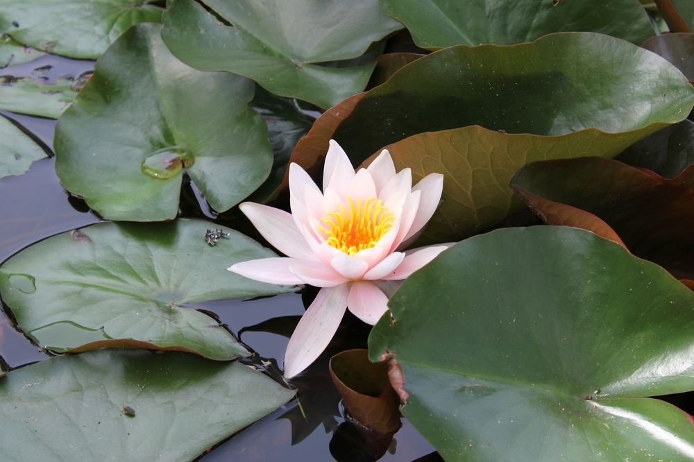 Photograph by Olga Bagaeva