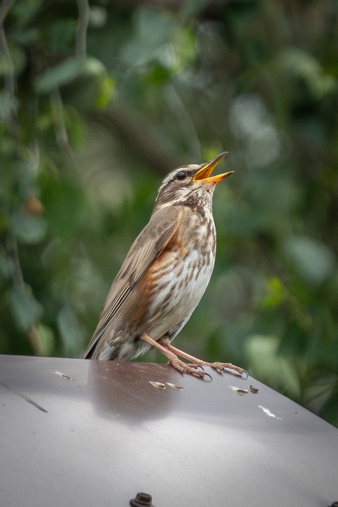 Photograph by Высотских Владимир