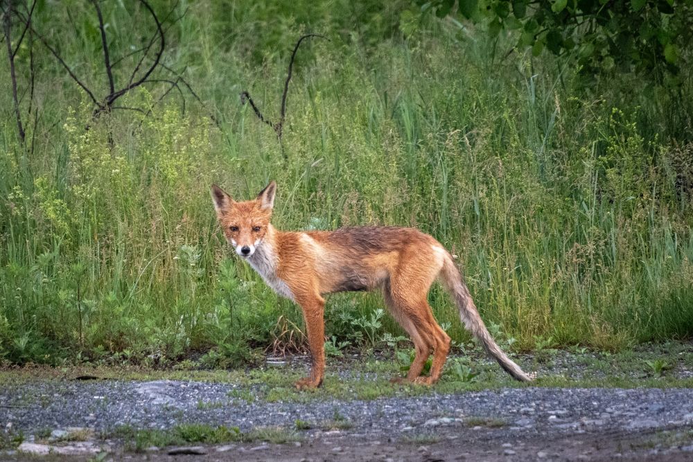 Photograph by Высотских Владимир