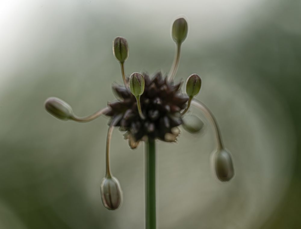 Photograph by Юрий Чернов