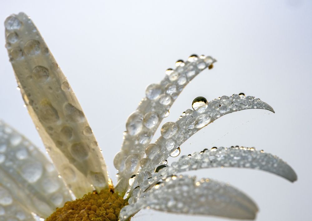 Photograph by Юрий Чернов