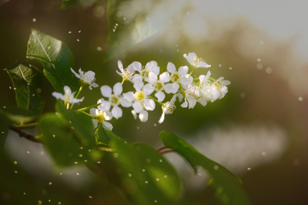 Photograph by Денис Прохоров