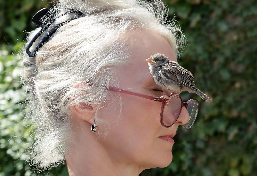 Photograph by Басыров Валерий