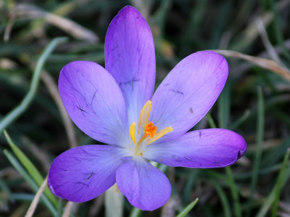 Photograph by Дмитрий Лобанов