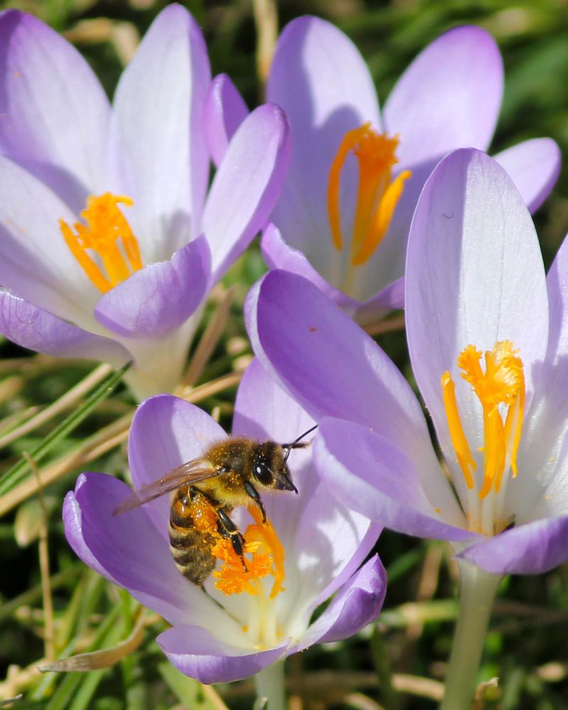 Photograph by Дмитрий Лобанов